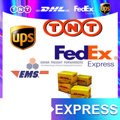 DHL Express Courier Freight Logistics China Delivery Express Layanan