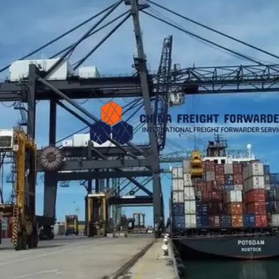 Fast Sea Freight Forwarder Pengiriman penuh kontainer Cina ke Kanada