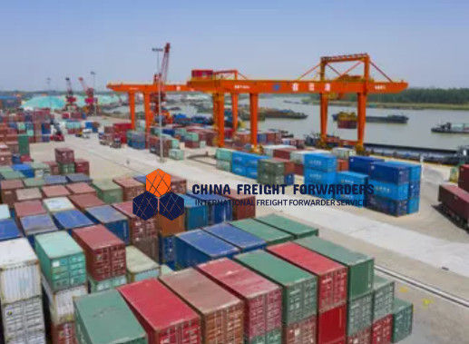 Kurang dari Container Load Pengangkut Barang Laut untuk EXW Syarat dan Semua Ukuran Kargo